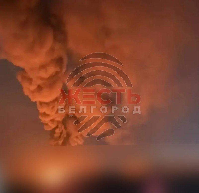 A photo shows a fire with rising smoke in a rural field at dusk under a cloudy sky, overlaid with repeating "INFO KIEV" watermark text.