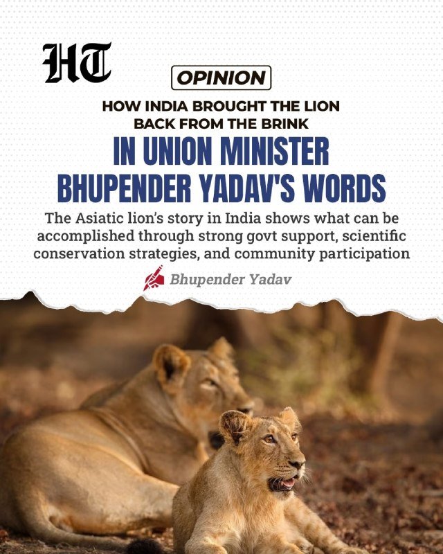 The Hindu opinion graphic features two lionesses resting in a dry forest setting beneath a headline reading "How India Brought the Lion Back From the Brink."