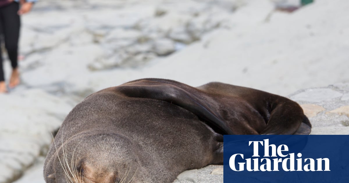 On the same July morning Japan's Shizuoka governor unblocked a maglev line and a 130-year-old navigation firm surfaced as a counter-drone player, Japanese and Chinese coast guards were again locking horns near the Senkaku Islands.