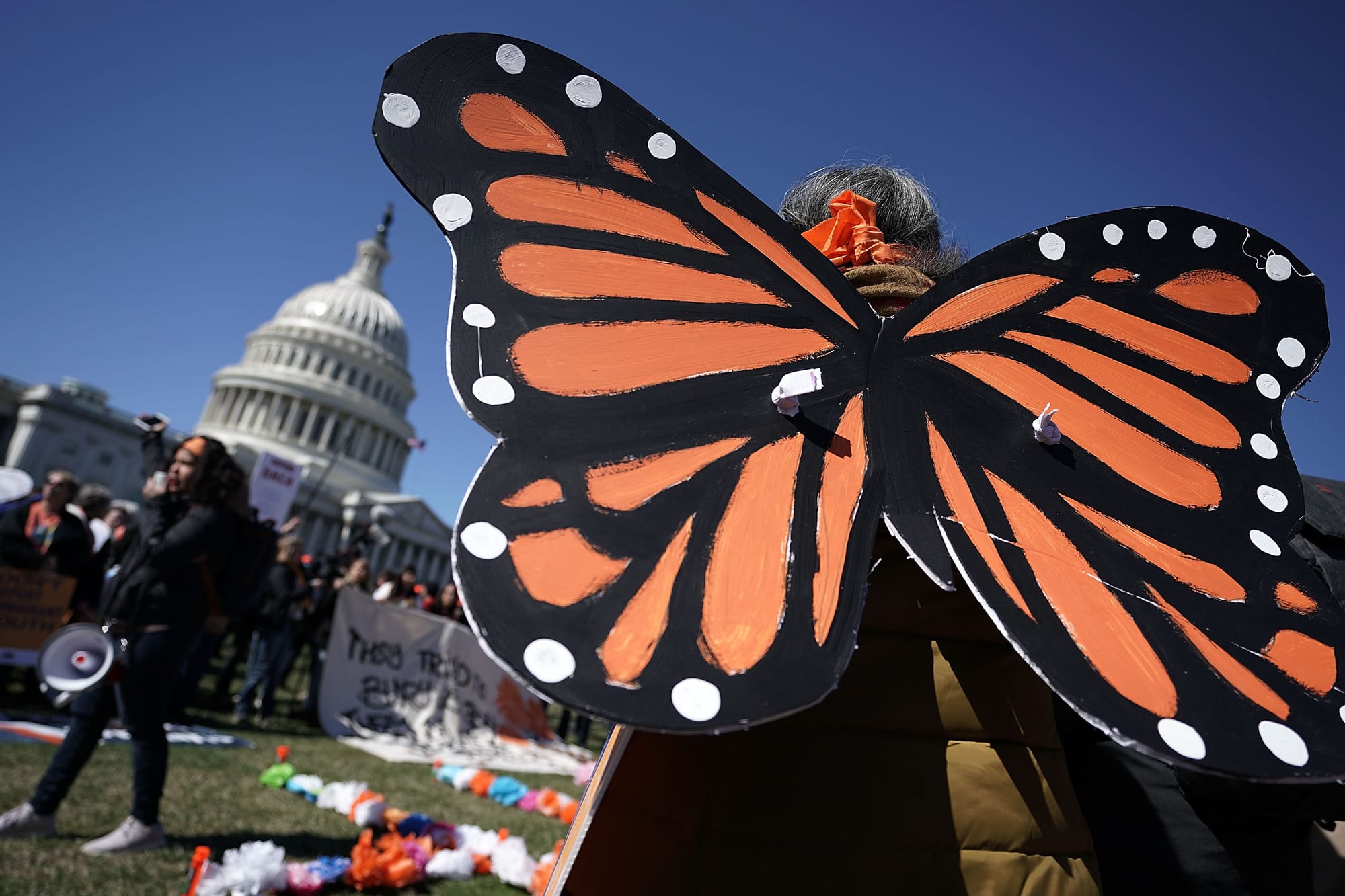 A 162-page White House report accuses the Smithsonian of abandoning scholarship for 'anti-white activism,' the latest escalation in a campaign that critics call an ideological audit of a public institution.
