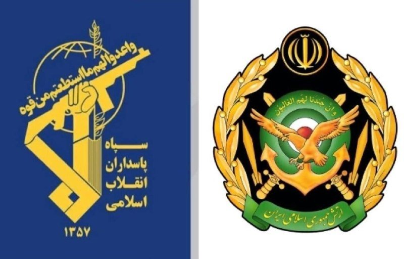 Two illustrated logos are displayed side by side: a blue emblem with golden rifle and globe on the left, and a black shield with an eagle, anchors, and laurel wreaths on the right.
