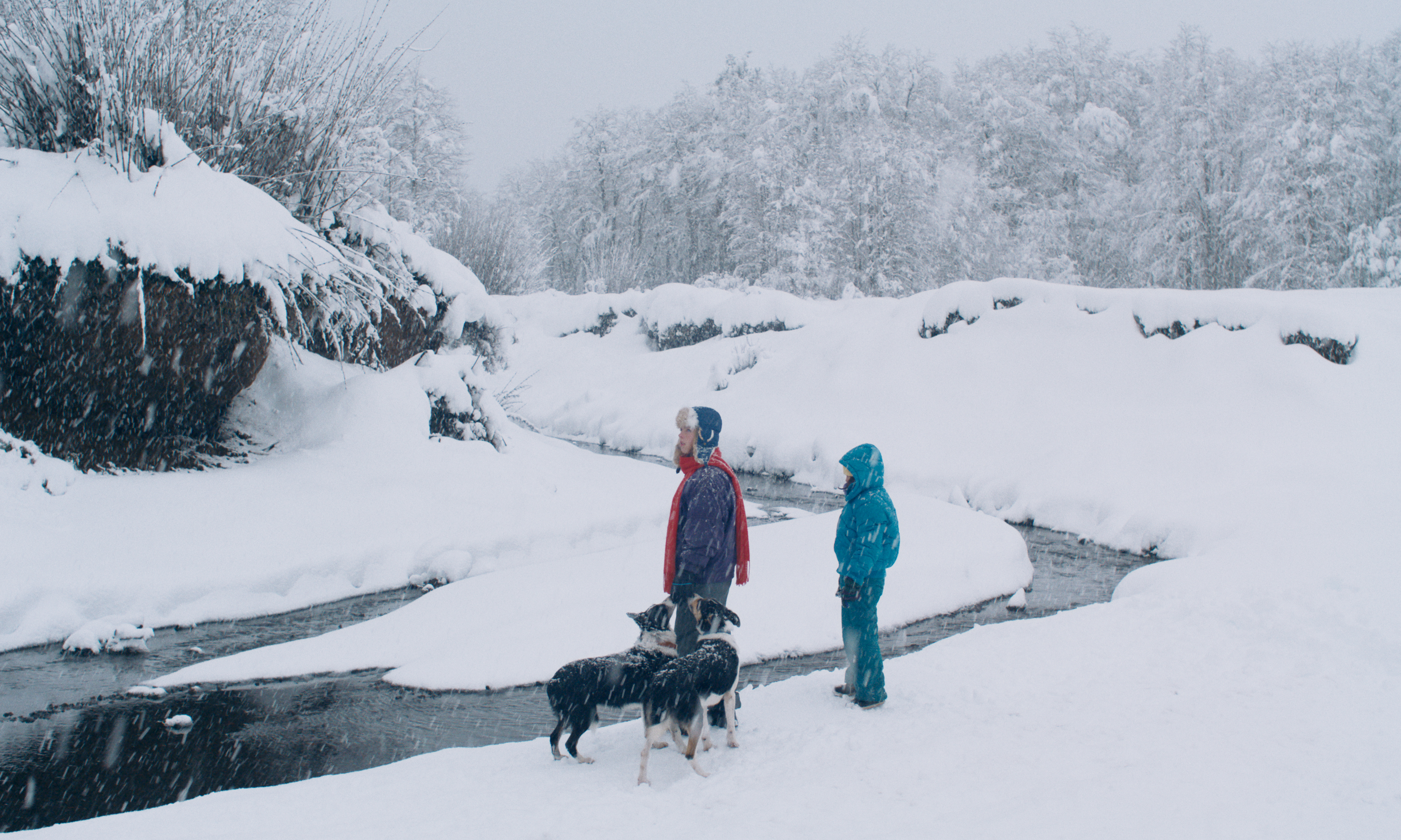 Bendita Film Sales has picked up international rights to ‘Donkey Princess,’ the latest feature from the Chilean duo behind ‘The Wolf House,’ ahead of its world premiere at Locarno.