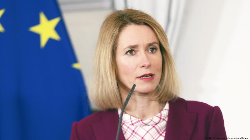 A blonde woman speaks at a microphone beside a European Union flag.