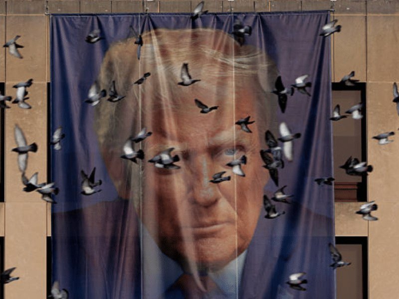 A large banner featuring a portrait of a blond-haired man in a suit hangs on a building façade as pigeons fly in the foreground.