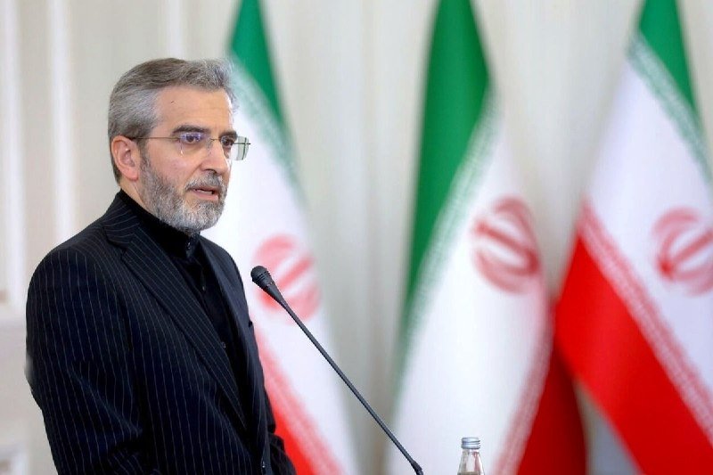 A gray-bearded man in glasses and a dark pinstripe suit speaks at a microphone, with three Iranian flags behind him.