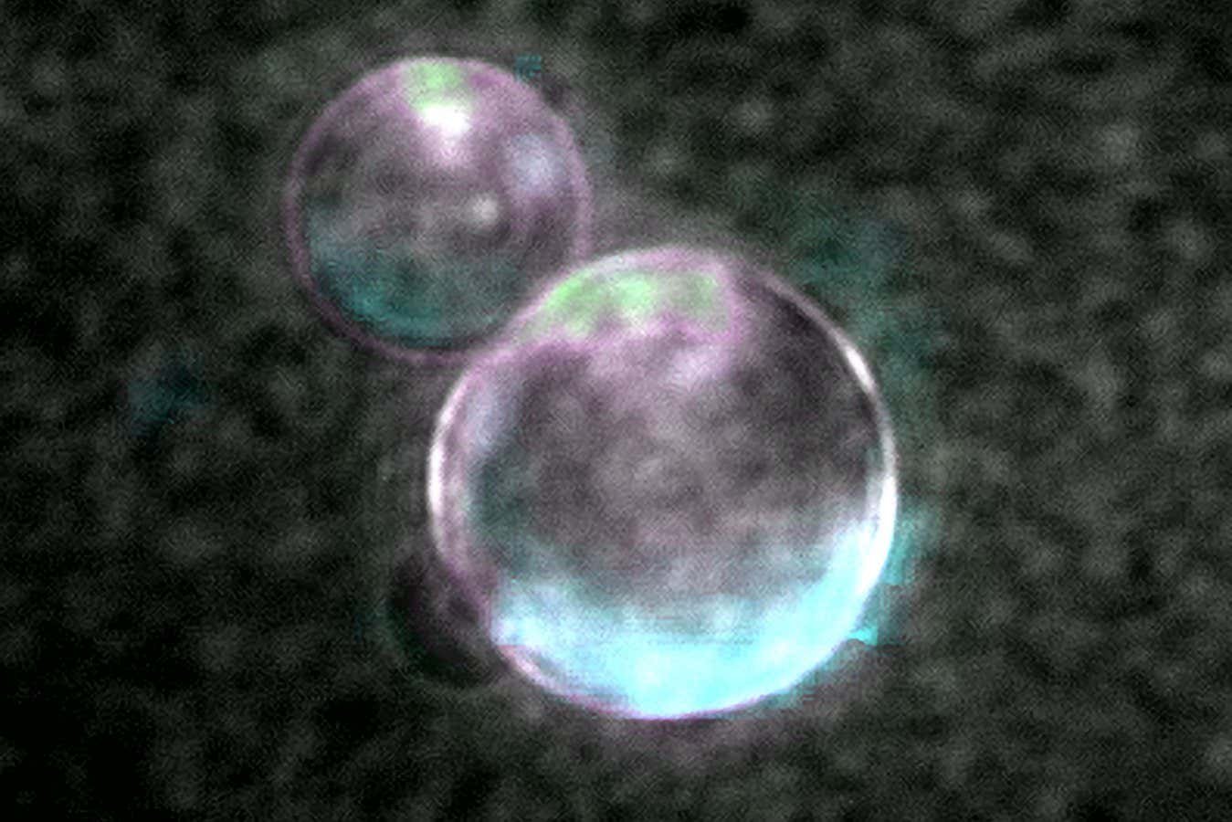 Two iridescent soap bubbles, tinted pink, green, and blue, float against a dark, textured background.