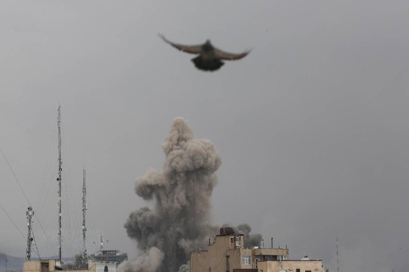 A bird flies through a gray sky above a large plume of smoke rising from an explosion near rooftops and communication towers.