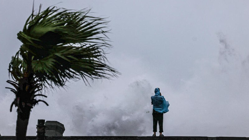 A coastal road battered by Typhoon Bavi's outer bands after landfall in eastern China, 12 July 2026.