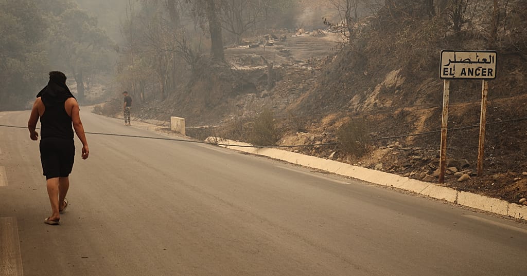 Kenyan rights groups warn of an organised 'goon' economy around political activity, while health authorities brace for a seasonal flu surge as July temperatures fall.