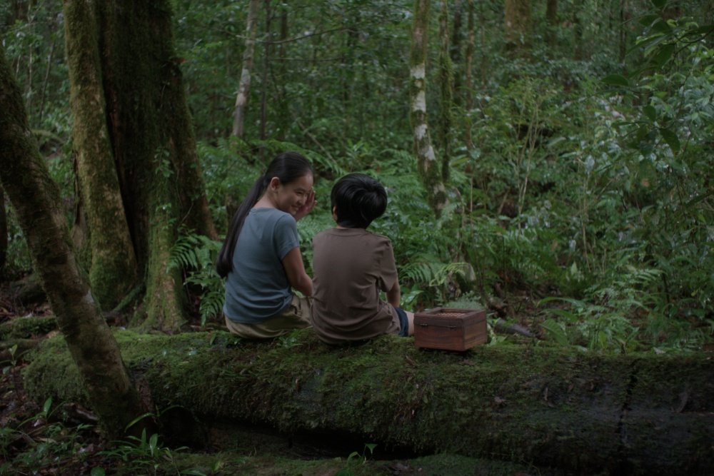 Two people sit smiling together on a moss-covered log in a lush forest, with a wooden box beside them.
