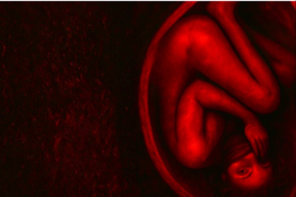 A digital illustration bathed in deep red tones depicts a curled human figure with visible limbs, torso, and face, surrounded by dark, textured negative space.