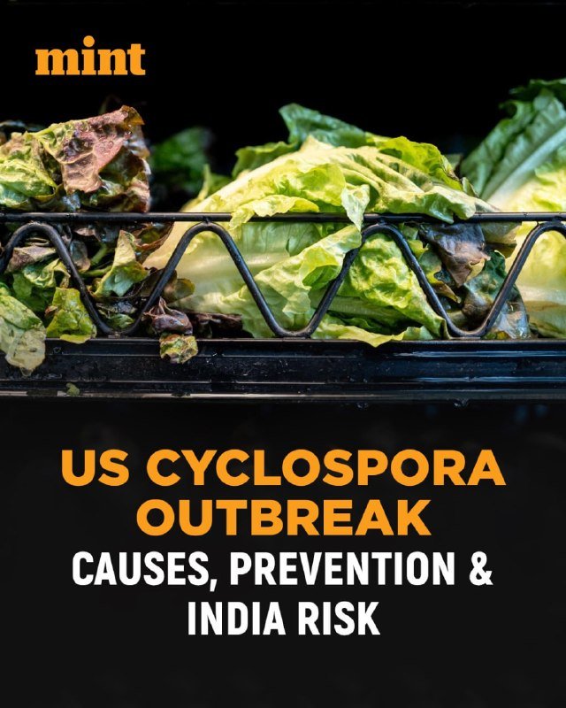 Fresh green and red leaf lettuce sits on a black wire produce shelf beneath the orange "mint" logo, with text reading "US Cyclospora Outbreak: Causes, Prevention & India Risk."