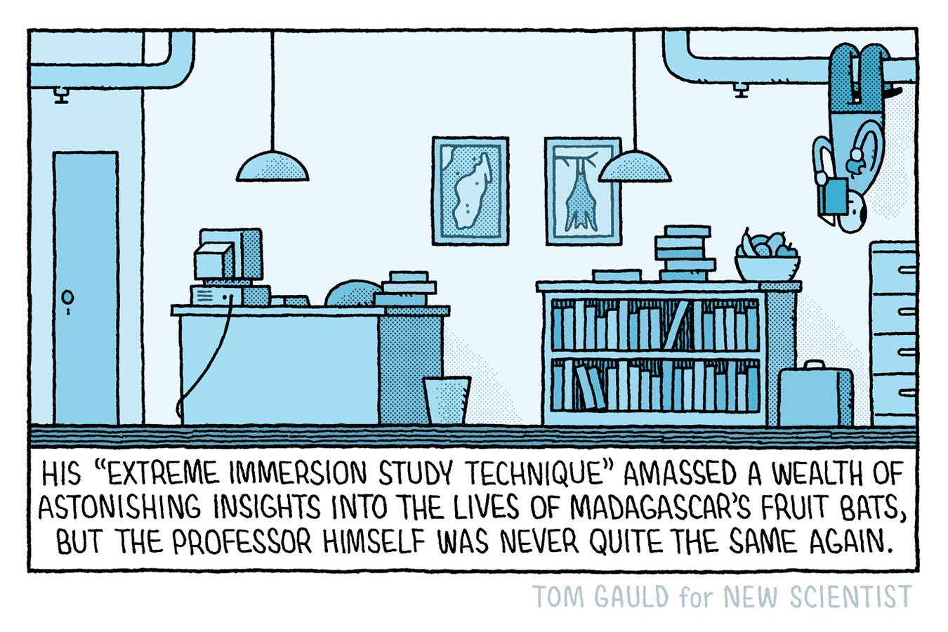 Illustration of a blue-tinted office with a desk, computer, bookshelf, framed pictures, and a bat hanging upside down from the ceiling, with a caption below by Tom Gauld.