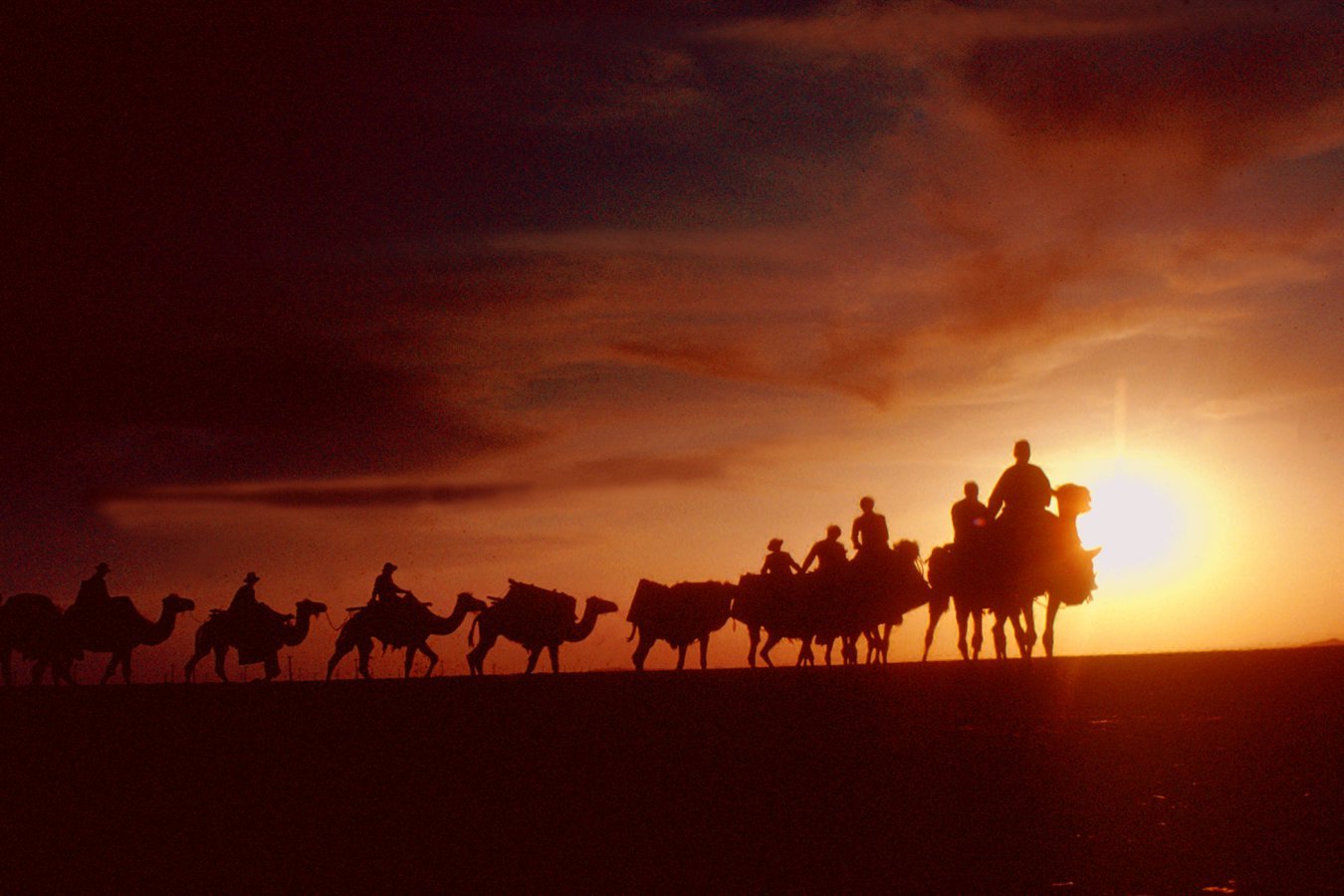 Silhouetted riders on a line of camels traverse a horizon against a vibrant orange sunset sky.