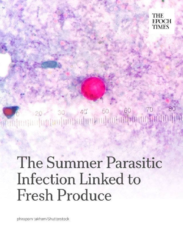 A microscopic image shows a pink-stained circular organism beside a measurement scale, with text reading "The Summer Parasitic Infection Linked to Fresh Produce" and "The Epoch Times" logo.