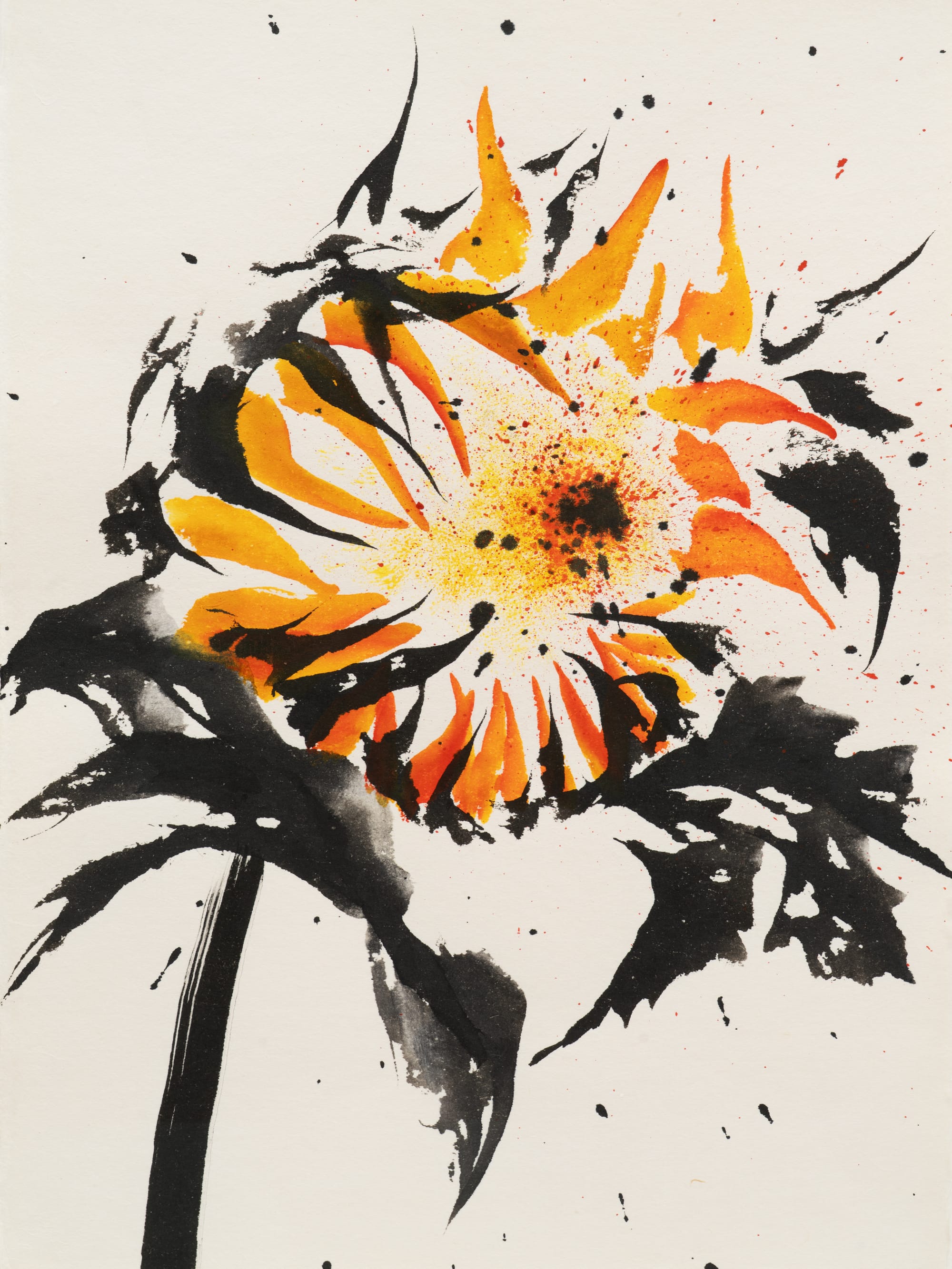 A still from Kyung-Me's sunflower series, published by Hyperallergic on 20 July 2026.