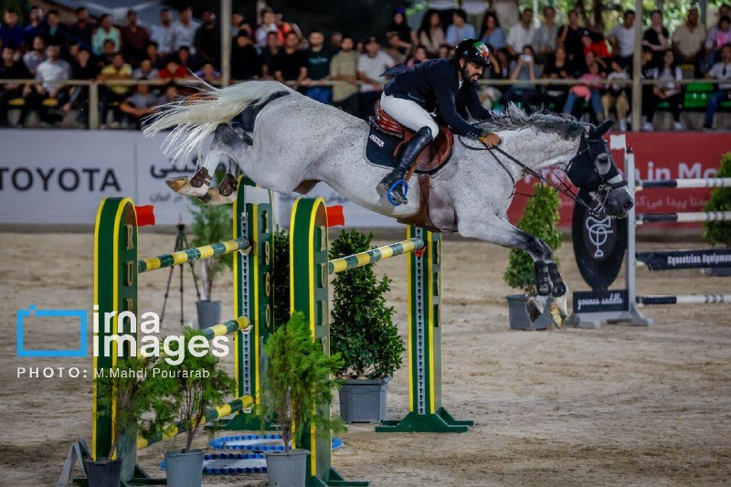 A rider in a navy jacket and white breeches guides a gray horse over a yellow and green jump in a sandy arena, with spectators seated behind barriers.