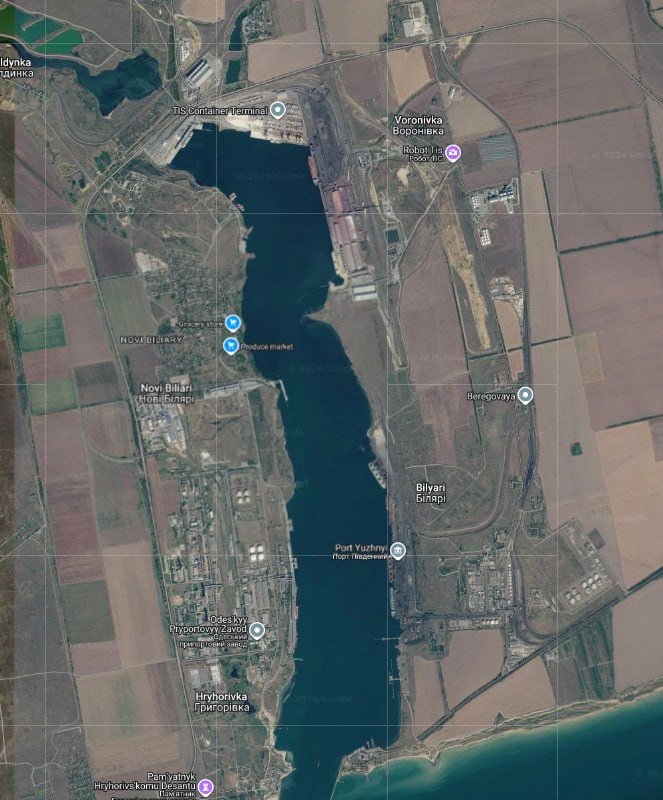 Satellite map view of a coastal port area showing a waterway, industrial port terminals, surrounding farmland, and labeled locations including "TIS Container Terminal" and "Port Yuzhny."