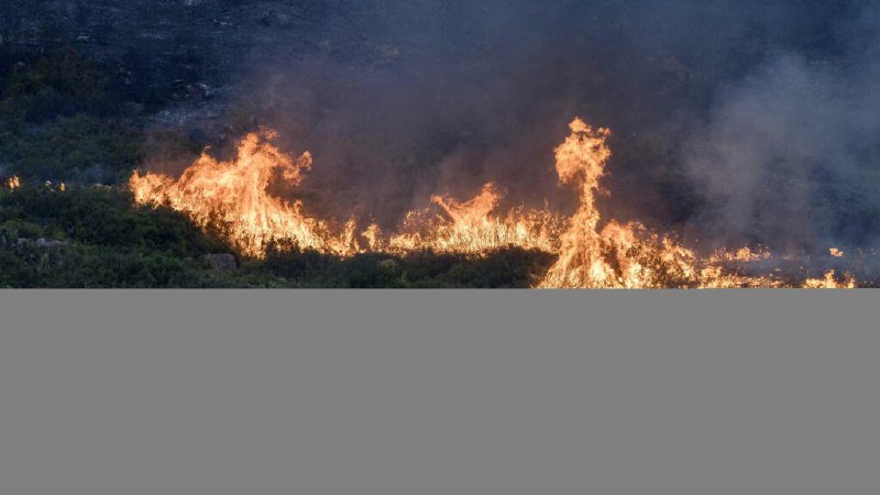 Flames and thick smoke engulf a brush-covered hillside as a wildfire burns through vegetation.