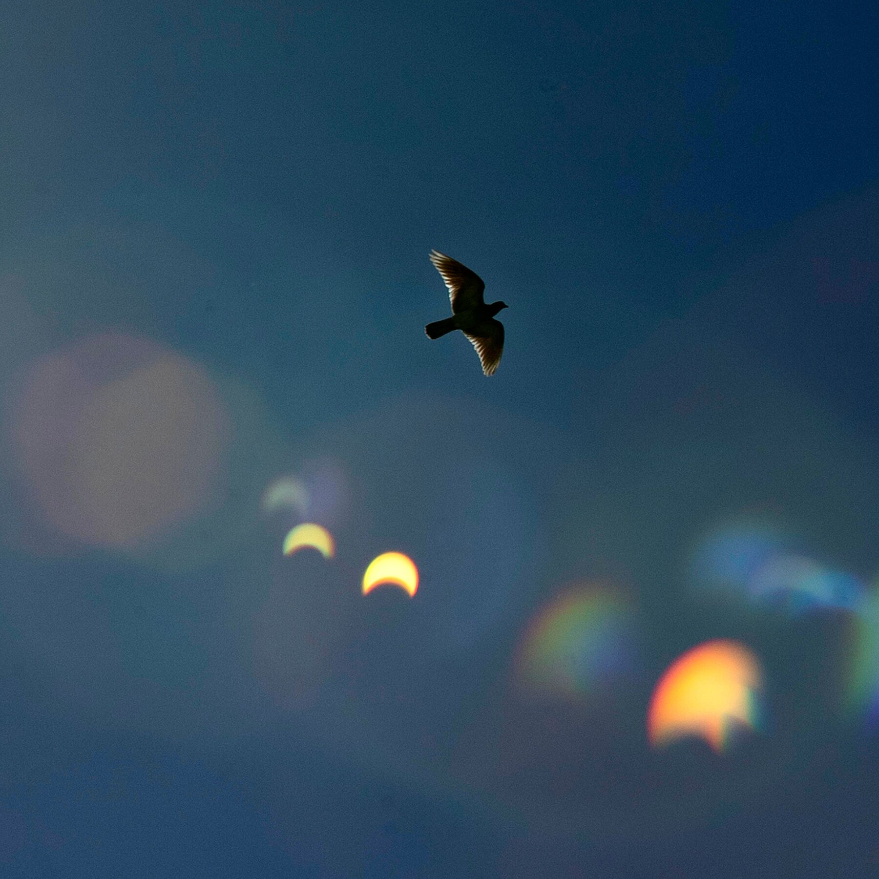 A 2026 solar eclipse over Europe, captured by NYT pool photographers on 12 August 2026.