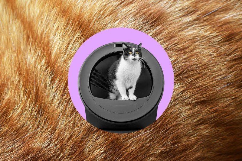 A black-and-white cat sits inside an open, dome-shaped pet pod against a purple circular background, surrounded by orange cat fur.