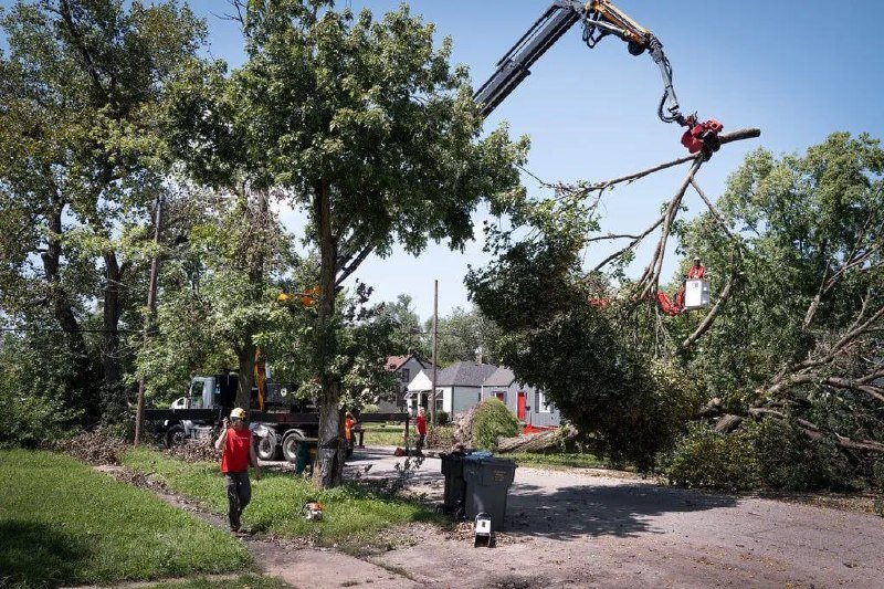 A worker in a red shirt watches as a crane with a grapple saw removes a large tree branch over a residential street.