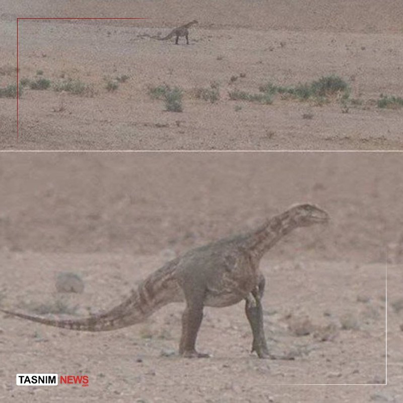Two stacked photos show a bipedal dinosaur standing on barren, sparse terrain; the top image is a distant view and the bottom is a close-up, with a "Tasnim News" logo.