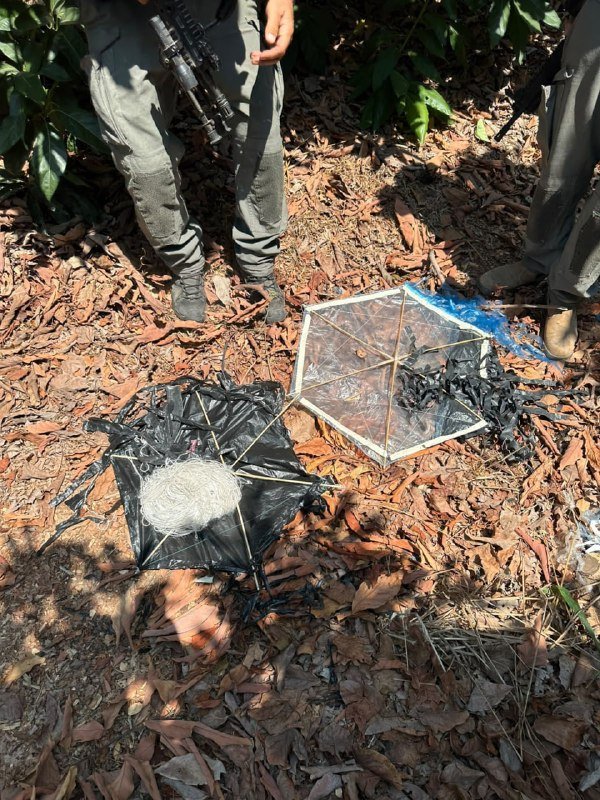 Two individuals stand on leaf-covered ground near two damaged hexagonal kites, one black and one clear with a blue tail, among scattered debris.