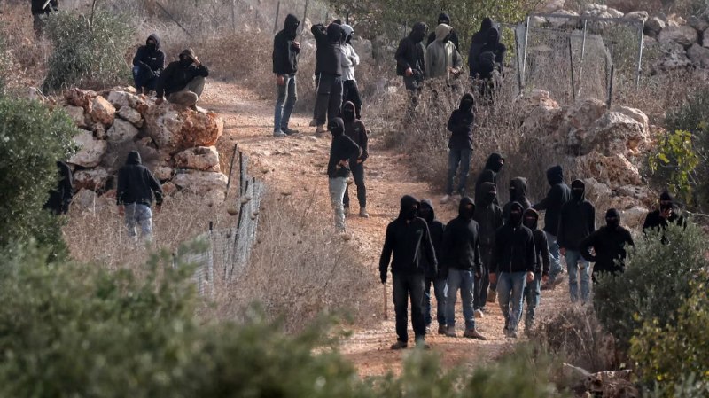 Olive grove set ablaze by Israeli settlers in the occupied West Bank, 16 October 2026.